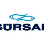 sursan-150x150